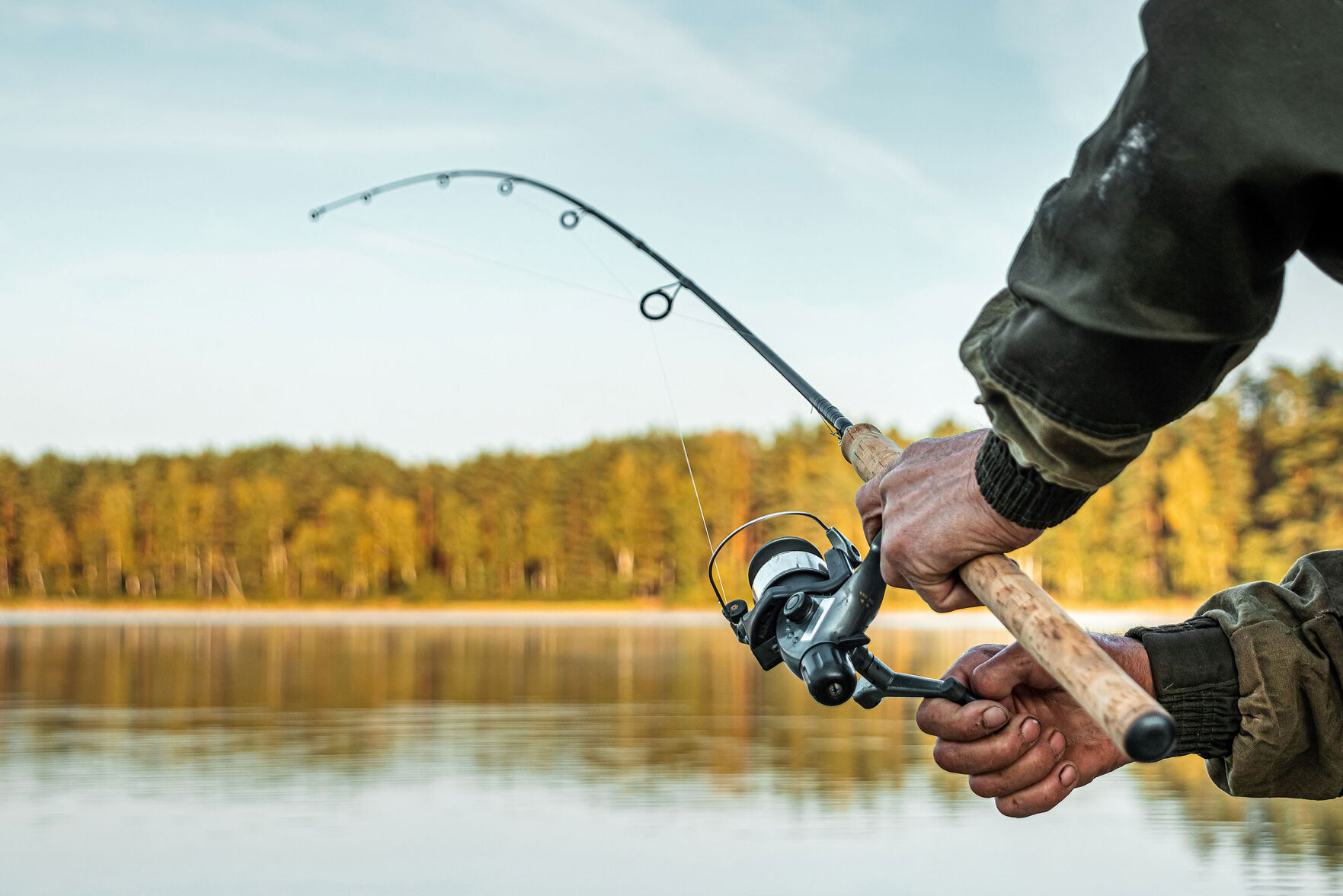 Locally caught fish are full of dangerous chemicals called PFAS, study finds